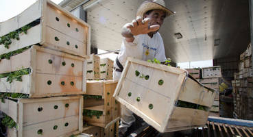 No Longer Niche, Local Foods Becoming Big Business